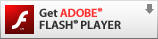 FLASH Player button